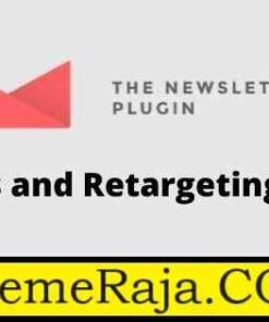 Newsletter Reports and Retargeting Addon GPL Plugin