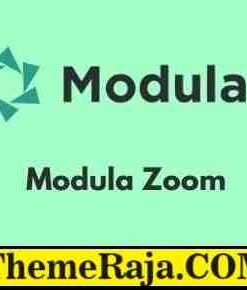 Modula Zoom GPL Plugin