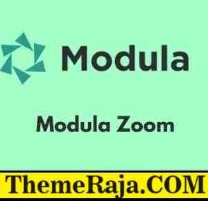 Modula Zoom GPL Plugin