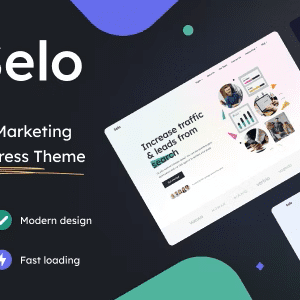 Selo Theme GPL SEO & Digital Marketing Agency WordPress Theme