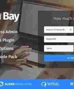 Cash Bay Theme GPL Banking and Payday Loans WordPress Theme
