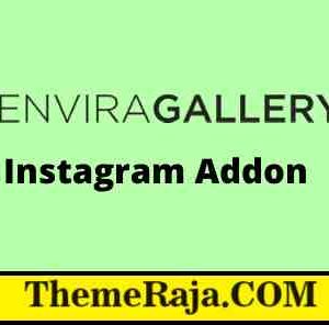 Envira Gallery Instagram Addon GPL