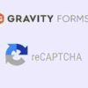 Gravity Forms reCAPTCHA Addon GPL 2.0.2 2 Gravity Forms reCAPTCHA Addon GPL