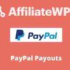 AffiliateWP PayPal Payouts Addon GPL 1.4.2 1 AffiliateWP PayPal Payouts Addon GPL
