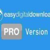 Easy Digital Downloads Pro GPL