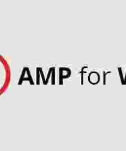 WPML Integration with AMP GPL
