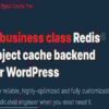 Redis Cache Pro GPL 1.25.0 | Object Cache 2 Redis Cache Pro GPL