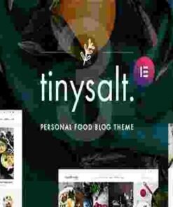 TinySalt Theme GPL Personal Food Blog WordPress Theme