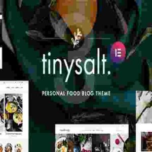 TinySalt Theme GPL Personal Food Blog WordPress Theme