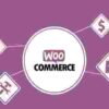 WooCommerce First Data Gateway GPL