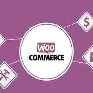 WooCommerce First Data Gateway GPL