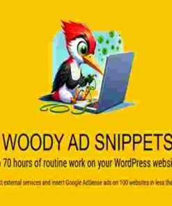Woody Code Snippets Premium GPL
