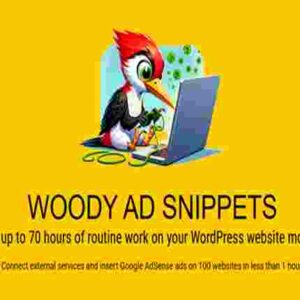 Woody Code Snippets Premium GPL