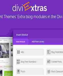 DIVI EXTRAS Lifetime Deal by WP Zone Buy Once Use Forever