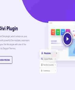 DiviFlash Lifetime Deal All-In-One Divi Plugin Buy Once Use Forever