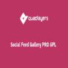 Social Feed Gallery PRO GPL Quadlayers