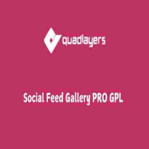 Social Feed Gallery PRO GPL Quadlayers
