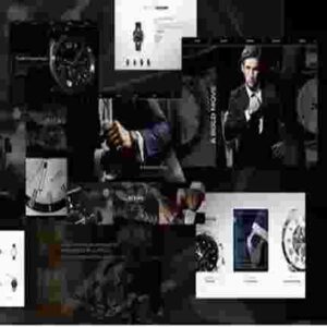 SwissEagle Theme GPL Watch Store WordPress