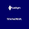 TikTok Feed PRO GPL Quadlayers