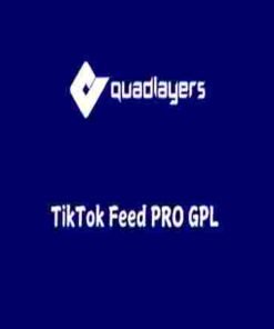 TikTok Feed PRO GPL Quadlayers