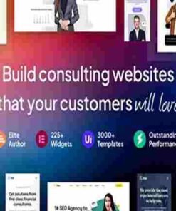 Rise Theme GPL Business & Consulting WordPress Theme