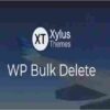WP Bulk Delete Pro GPL
