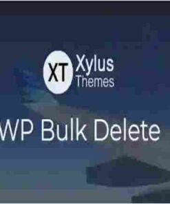 WP Bulk Delete Pro GPL