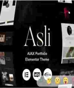 Asli Theme GPL AJAX Portfolio Elementor WordPress Theme