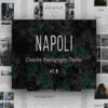 Napoli Theme Premium GPL