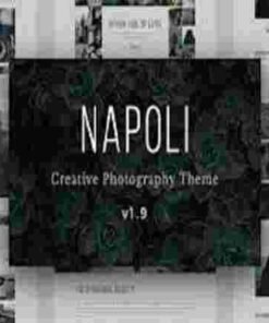 Napoli Theme Premium GPL