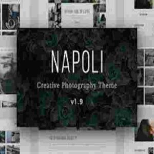 Napoli Theme Premium GPL