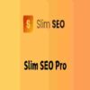 Slim SEO Pro GPL