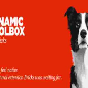 Dynamic Toolbox for Bricks GPL