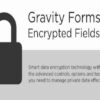Gravity Forms Encrypted Fields Addon GPL