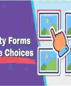 Gravity Forms Enhanced Choices GPL