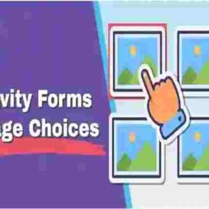 Gravity Forms Enhanced Choices GPL