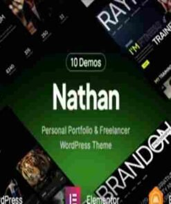 Nathan Theme GPL Personal Resume CV Portfolio WordPress Theme