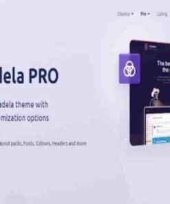 Citadela Pro GPL Extends Citadela theme with layout customization options