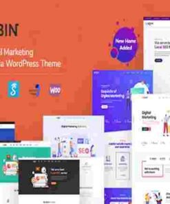 GeoBin Theme GPL SEO, Startup & SaaS WordPress Websites
